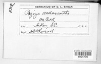 Image Associated With the Occurence